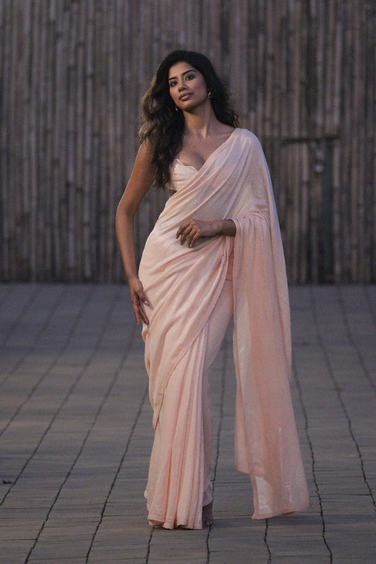 Peach Sequinned Saree